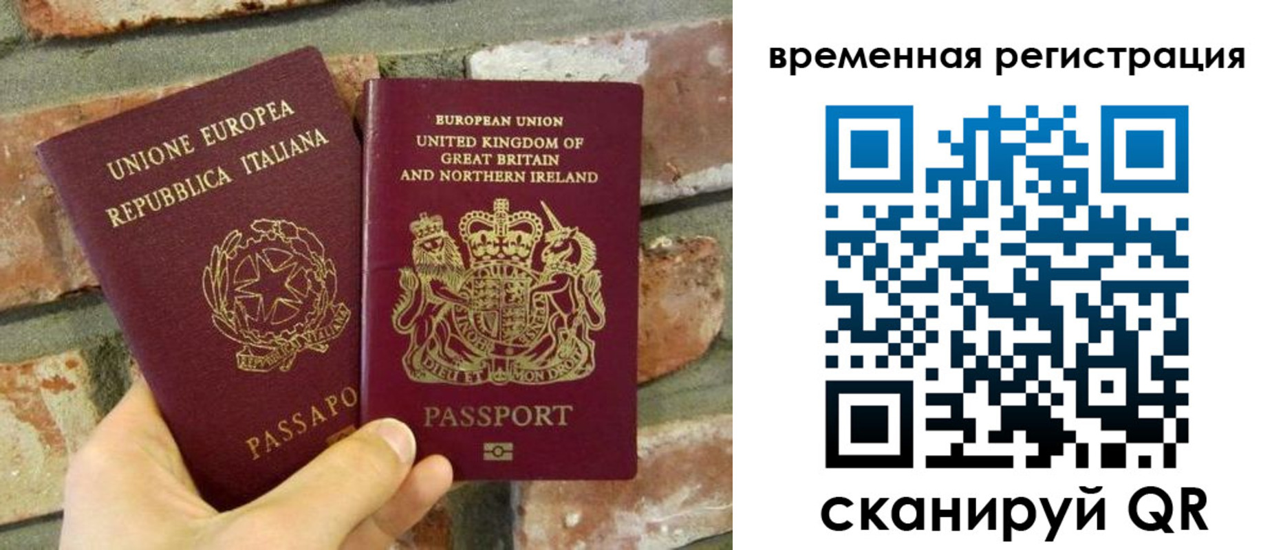 прописка для школы в Ростове-на-Дону